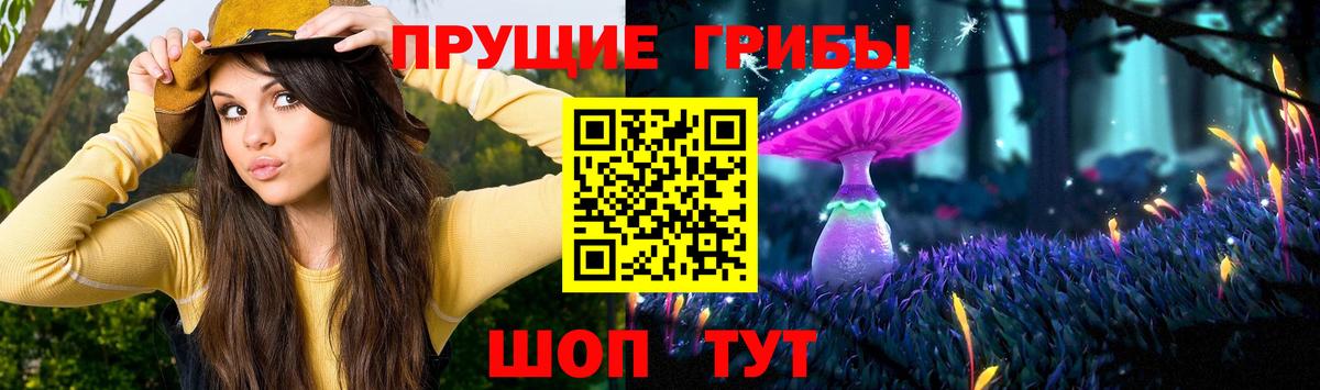 Псилоцибиновые грибы Psilocybe  Вход с VPN  Электрогорск 